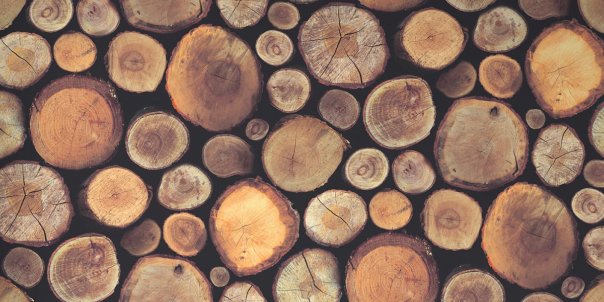 Wood_1